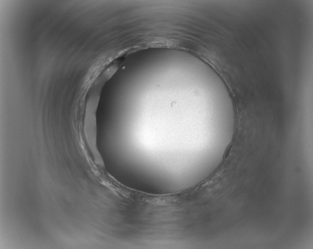 X0000053110241200507251704