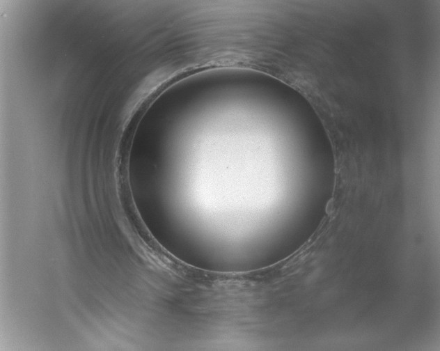 X0000053110242200507251704