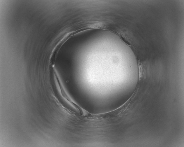 X0000053110243200507251704