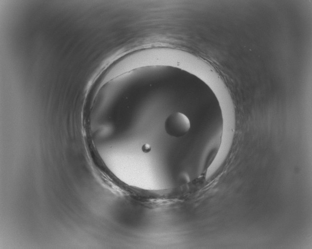 X0000053110244200507251704