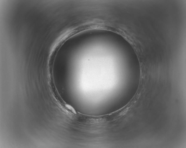 X0000053110245200507251704