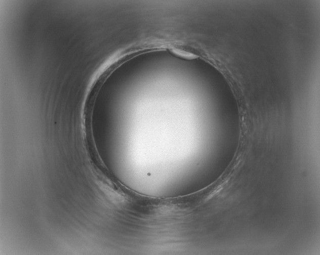 X0000053110246200507251704