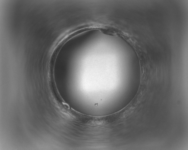 X0000053110247200507251704