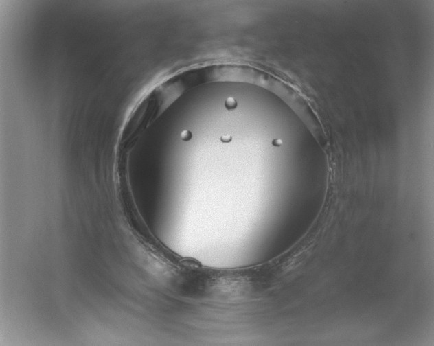 X0000053110248200507251704