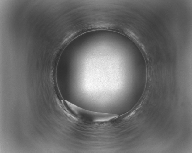 X0000053110249200507251704