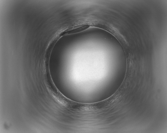 X0000053110250200507251704