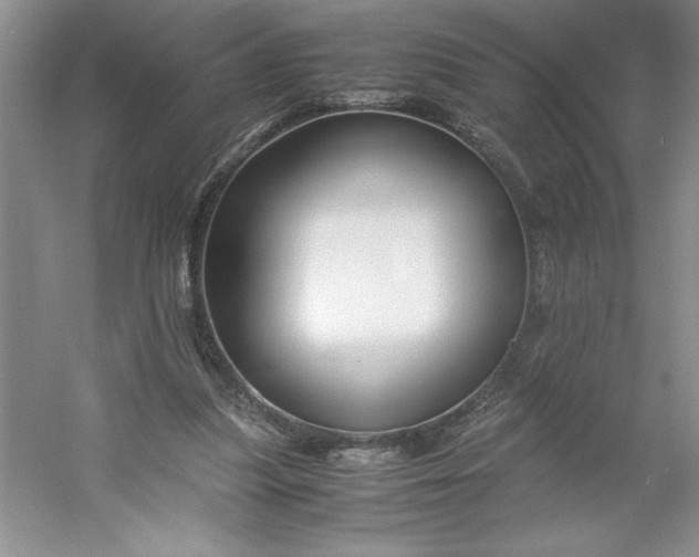 X0000053110251200507251704