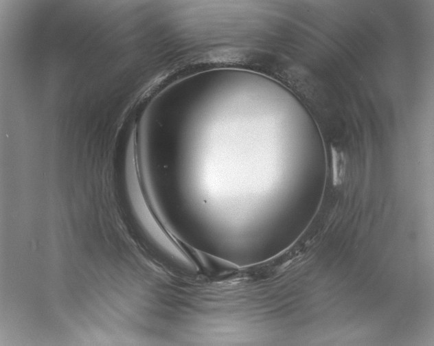 X0000053110252200507251704