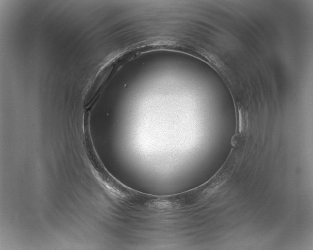 X0000053110253200507251704