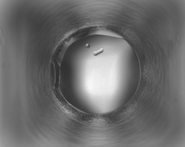 X0000053110256200507251704