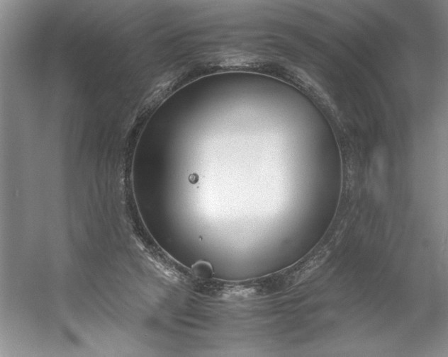 X0000053110257200507251704