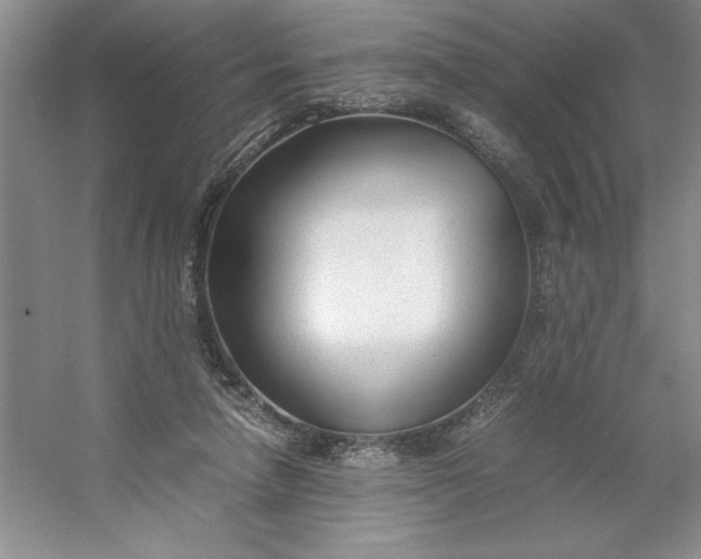 X0000053110258200507251704