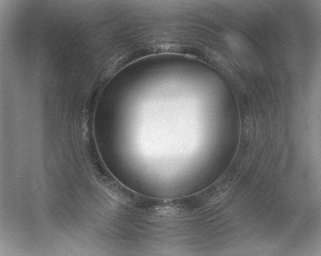 X0000053110259200507251704