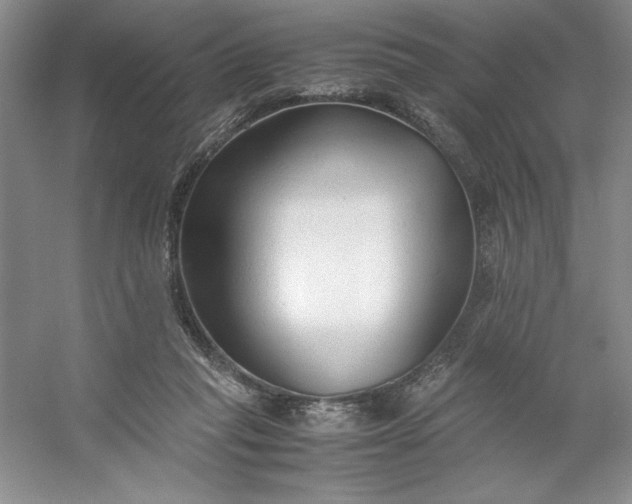 X0000053110261200507251704