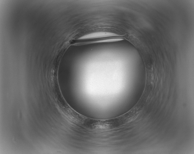 X0000053110263200507251704