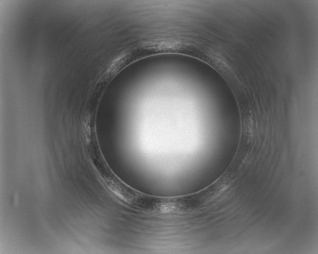 X0000053110264200507251704