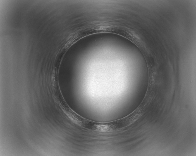 X0000053110265200507251704