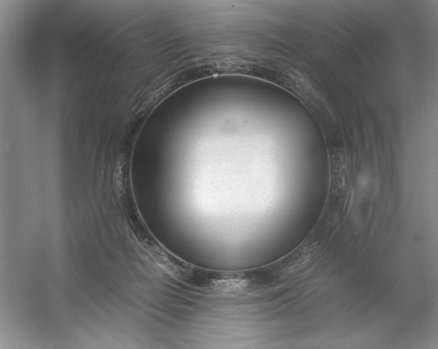 X0000053110266200507251705