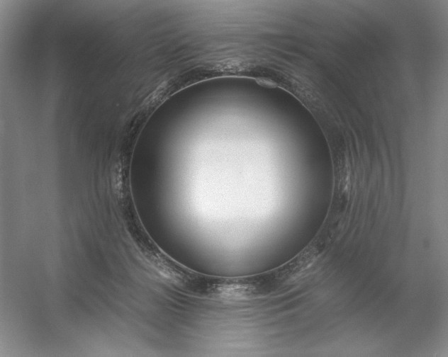 X0000053110268200507251705