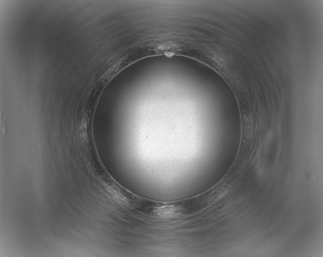 X0000053110269200507251705