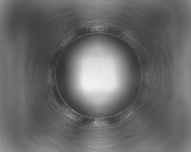 X0000053110270200507251705