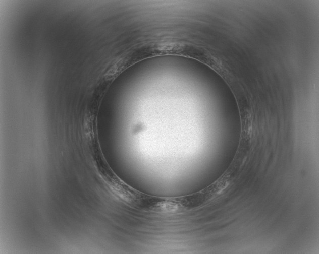 X0000053110272200507251705