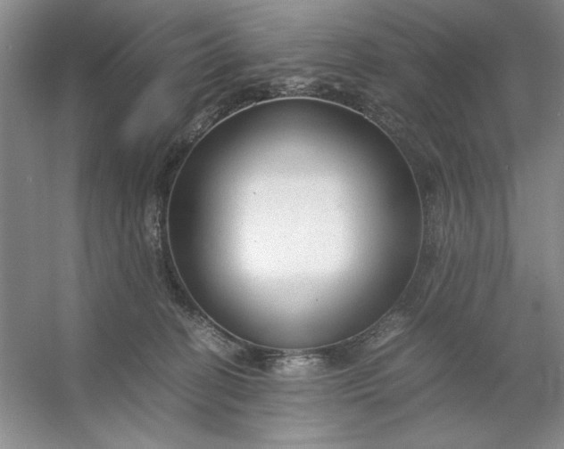 X0000053110274200507251705