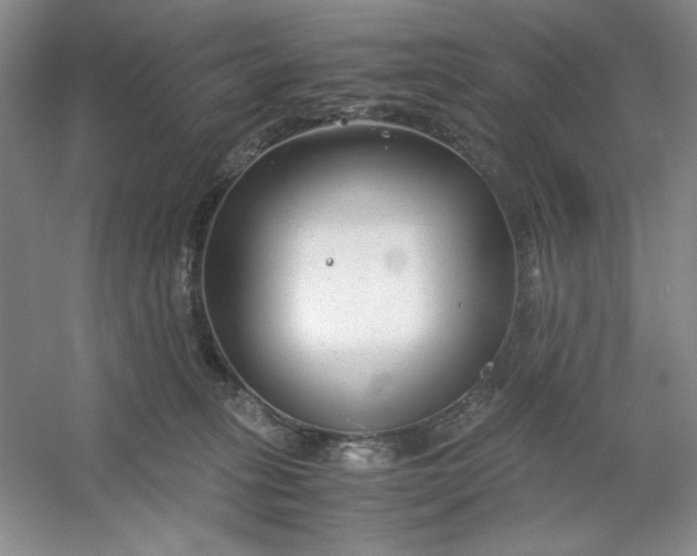 X0000053110275200507251705