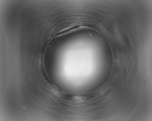 X0000053110277200507251705