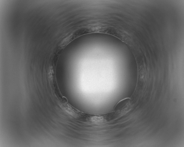 X0000053110279200507251705