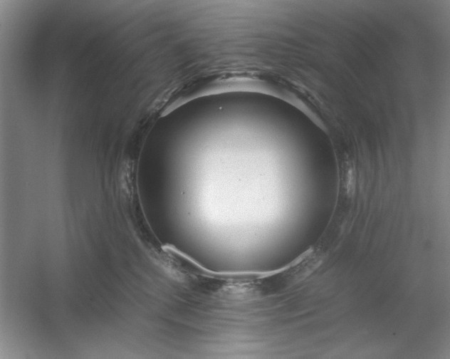 X0000053110280200507251705