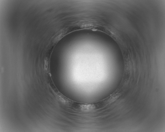 X0000053110281200507251705