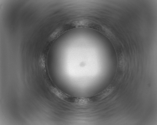 X0000053110282200507251705