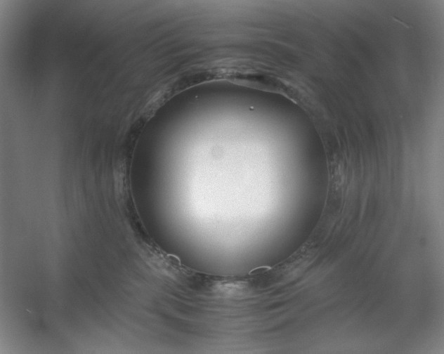 X0000053110283200507251705