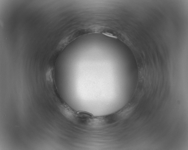 X0000053110286200507251705