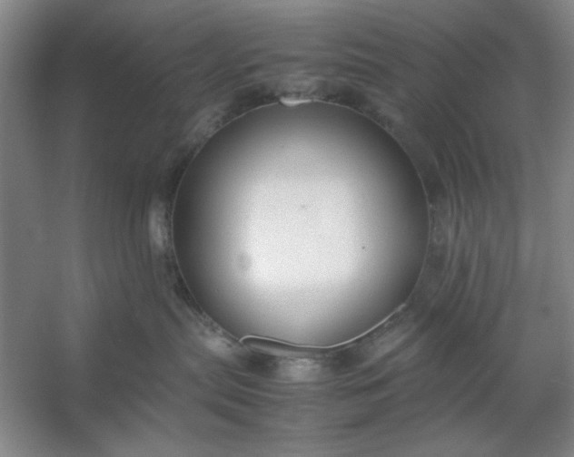 X0000053110287200507251705