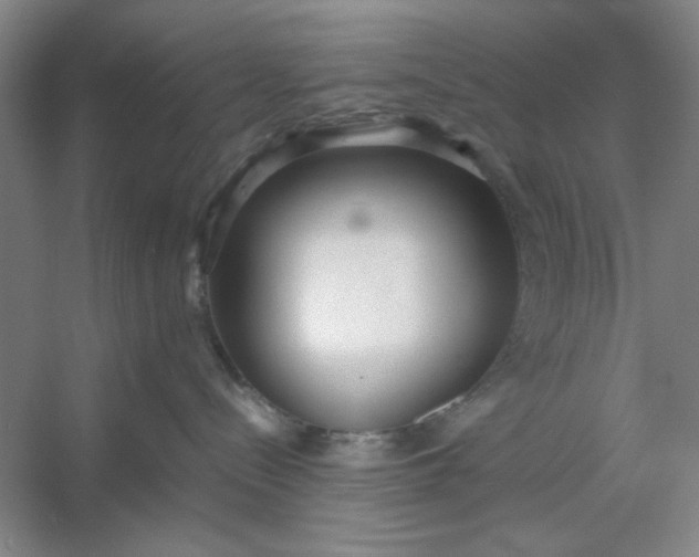 X0000053110288200507251705