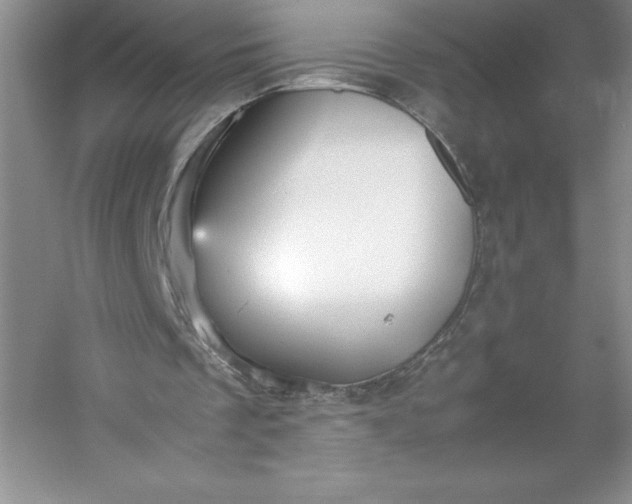 X0000053110289200507251704