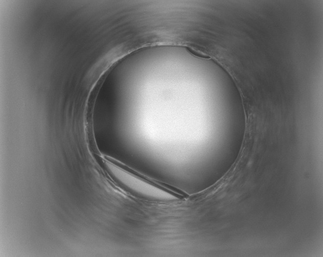 X0000053110290200507251704