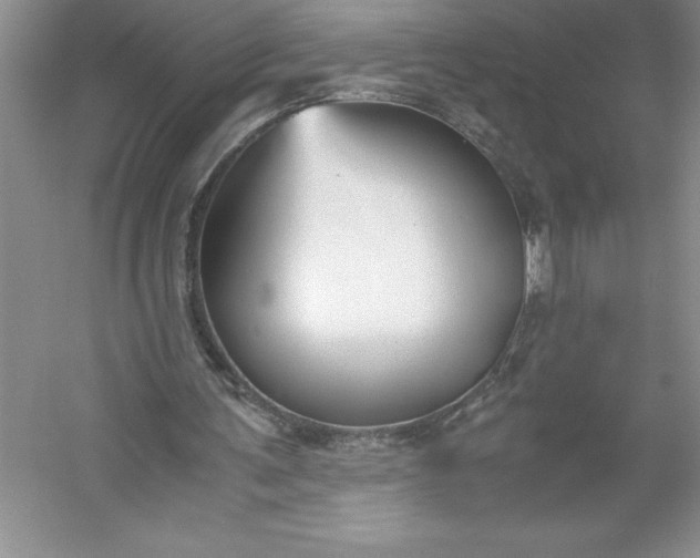 X0000053110291200507251704