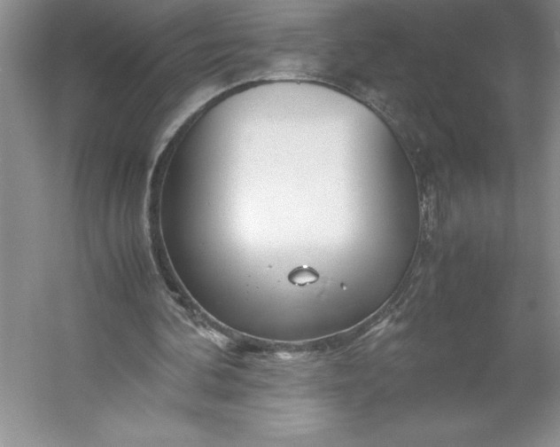 X0000053110292200507251704