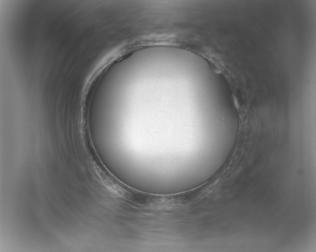 X0000053110293200507251704