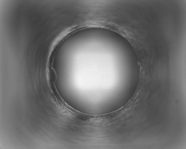 X0000053110294200507251704