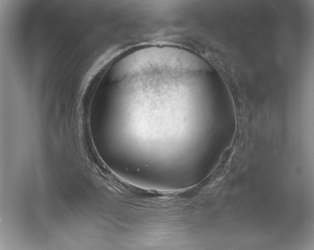 X0000053110295200507251704