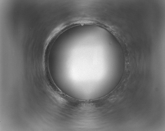 X0000053110296200507251704