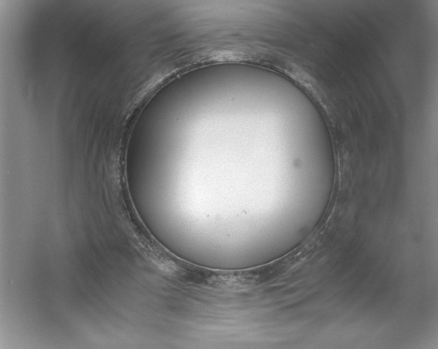 X0000053110297200507251704