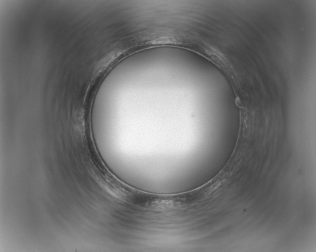 X0000053110298200507251704