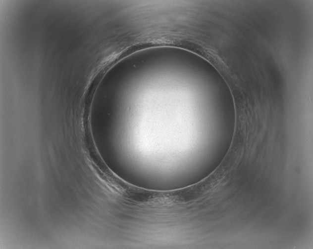 X0000053110299200507251704