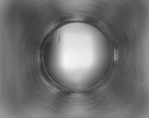 X0000053110300200507251704