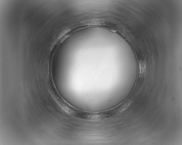 X0000053110301200507251704